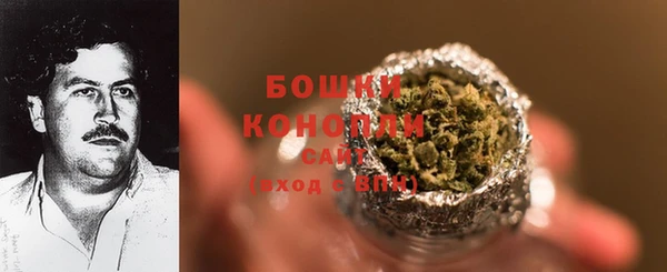 ECSTASY Армянск