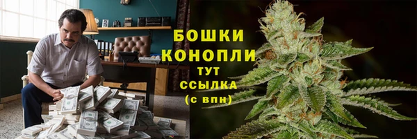 ECSTASY Армянск