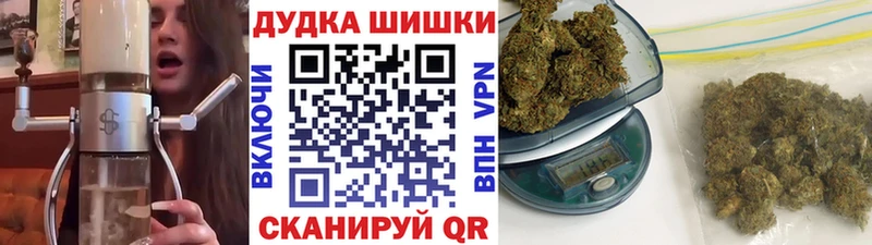 Бошки Шишки OG Kush  где купить наркотик  Кущёвская 